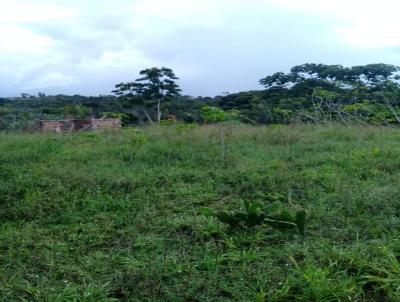 Terreno Rural para Venda, em Camaçari, bairro Barra do Pojuca (Monte Gordo)